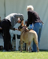 Porthos Estonian Winner 2008